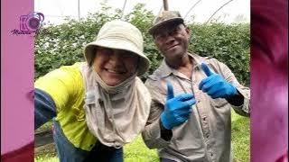 Malumu ni Tobu kei Naivaukura  - iLavo Ni Aussie iLavo Mosimosi