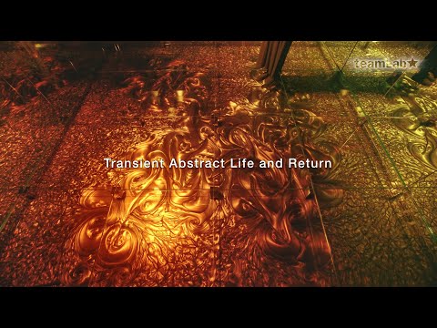 Transient Abstract Life and Return