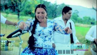 El Chato - Julia Irigoyen (Video oficial 2015)