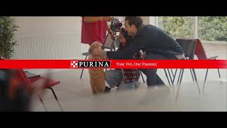 Purina Cares About Pet Adoption by Purina 1,787,457 views 3 years ago 16 seconds