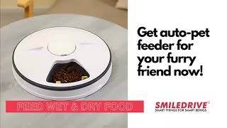 Automatic Pet Feeder for Dogs \& Cat - Auto Food Dispenser Feeding Machine