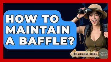 How To Maintain A Baffle? - Bird Watching Diaries
