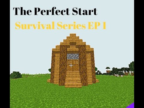 The Perfect Beginning[]. Minecraft Survival series Ep 1. - YouTube
