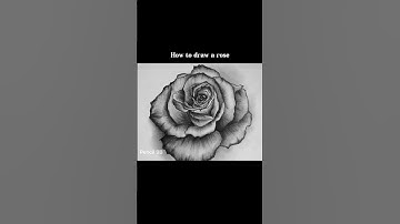 How to draw a rose
