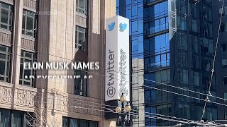 Celebrity Analysts discuss new Twitter CEO Linda Yaccarino Profile