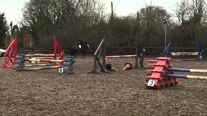 Amy Halstead Showjumping Round