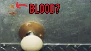 TEREASA MARTIN says BL00D was on the FREEZER D00R but the DETECTIVE LIED said it wasnt!