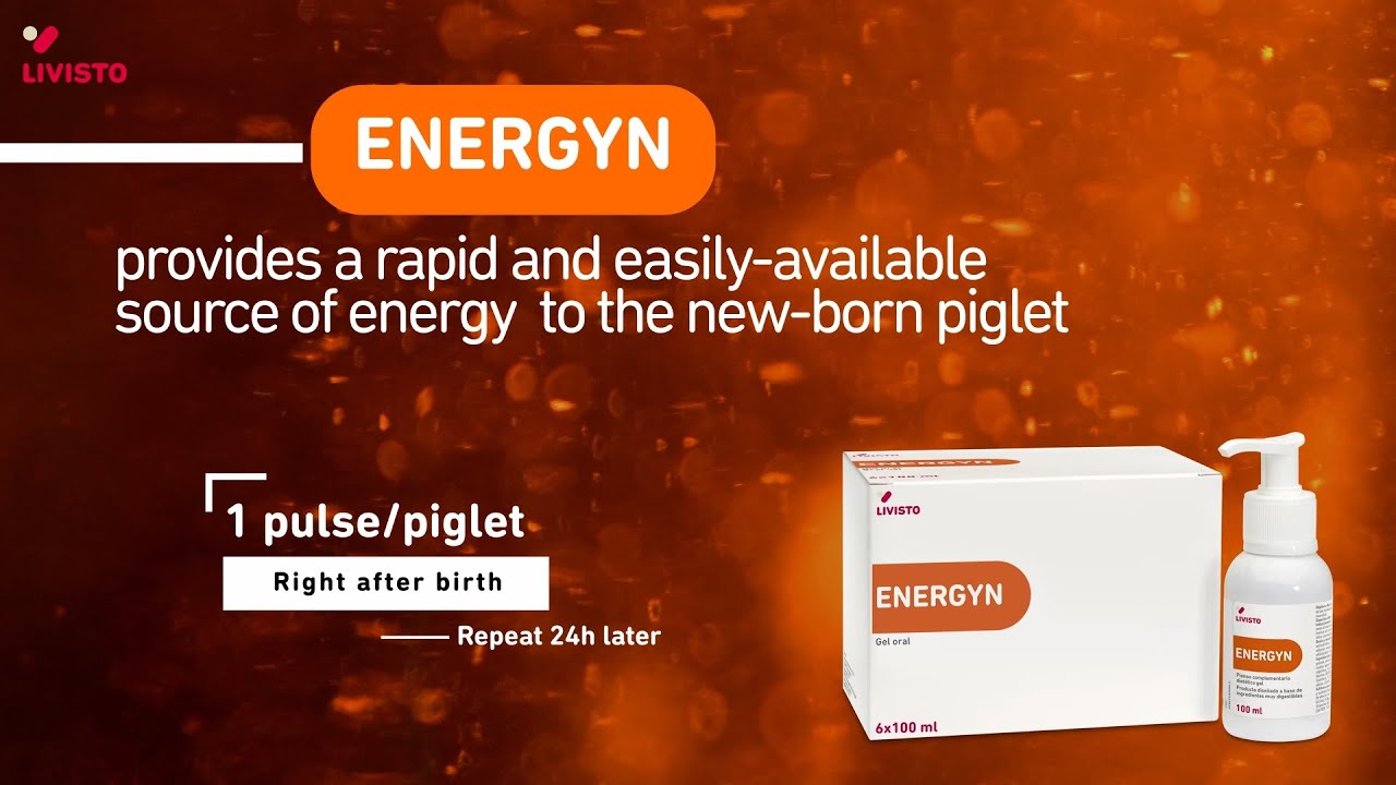 ENERGYN, no one is left behind - YouTube