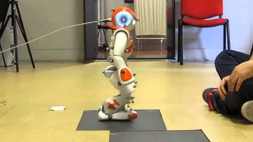 Nao Humanoid in OpenSim