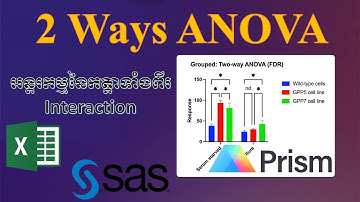 វិភាគទិន្នន័យ Two Ways ANOVA #excel #graphpad #sas #anova