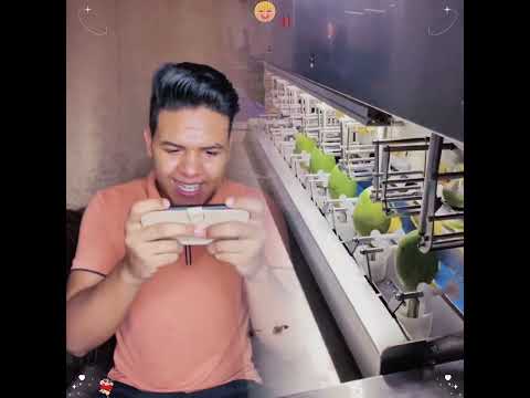     إل حسامو فايب مسلية أداء ارتباط بوف هزلي فيديو