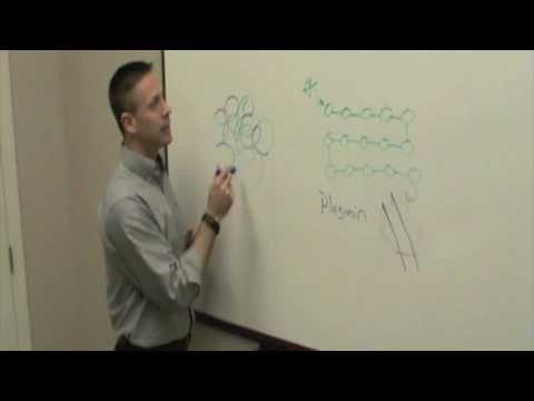 Enzymedica Education Corner Featuring Nattokinase with Dave Barton