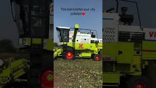Moong harvesting with Vishal 435 AC Combine Harvester #harvesting #agriculture #shorts