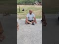 #trending #motivation #viral #morning #challenge #lifestyle #physical #yoga day 52
