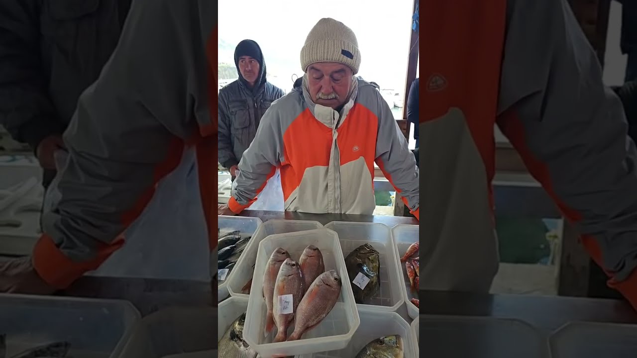 KARABURUN BALIK MEZATI 28.02.2026 CANLI YAYIN