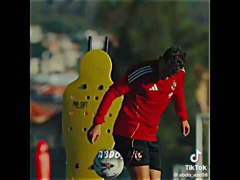 50474830498805240021865