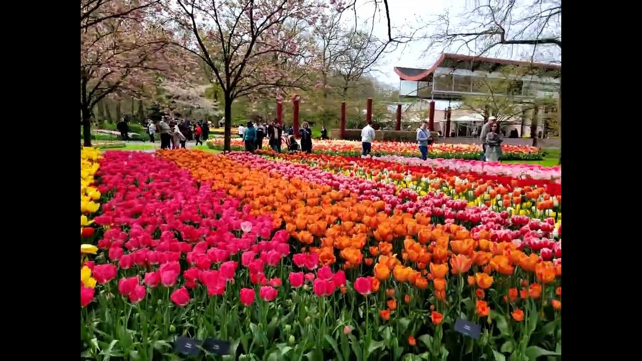 keukenhof 2023 - YouTube