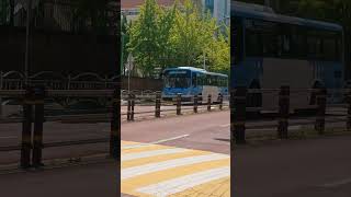구형 전광판은 물러가라!! #부산버스 #shorts