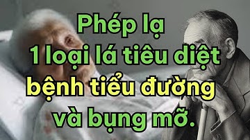 PHÉP LẠ! 1 LÁ TIÊU DIỆT BỆNH TIỂU ĐƯỜNG, CHOLESTEROL XẤU VÀ BỤNG MỠ   SỨC KHỎE NGƯỜI CAO TUỔI