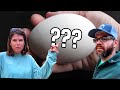 Did The RARE Goose Eggs Make It Through The Power Outage??