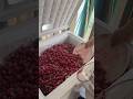 Pakistan Most Viral Dry Fruit Shake | Energy Boaster Making #streetfood