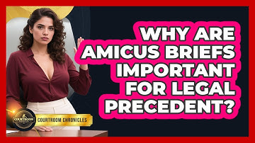 Why Are Amicus Briefs Important For Legal Precedent? - Courtroom Chronicles