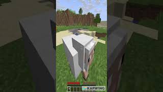 W Marsh💖 #shorts #wspeed  #minecraft