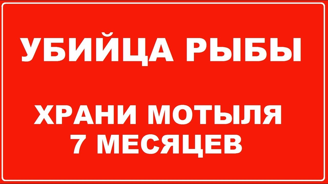 Старик РАССКАЗАЛ как хранить мотыля 7 месяцев… Все "гениальное" - ПРОСТО…