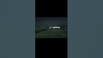 سورة ص، الآيات 82–85. #محمد_اللحيدان #المصحف #قران_كريم #راحة_نفسية #فلسطين #سورة_ص