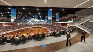 Concept of Proposed New Arena at State Fair Park