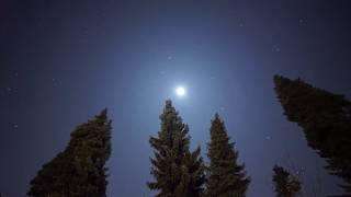 Leonids Meteor Shower 2019 - Leoniden Meteorstrom