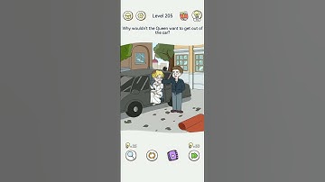 Brain Maze Level 205