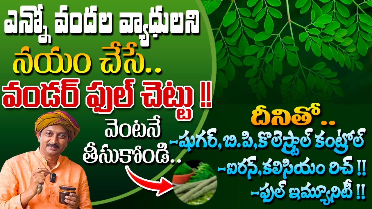 వందల వ్యాధులని ఇట్టే నయం చేసే వండర్ ఫుల్ చెట్టు వెంటనే తెచ్చుకోండి  | Dr.Ravivarma | AYUR MANTRA