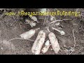 ជីអាស៊ាន ផៅវ័រ ពិតជាល្អប្រើមែន [ASEAN Power is really good to use]