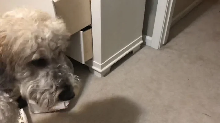 Two cute girls eat big stick