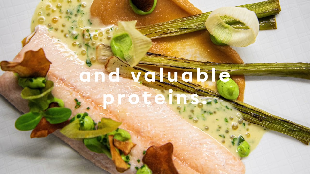 Ftn Aquaart Ag Fish Farming Und Indoor Aquakultur Anlagen Aus Der Schweiz