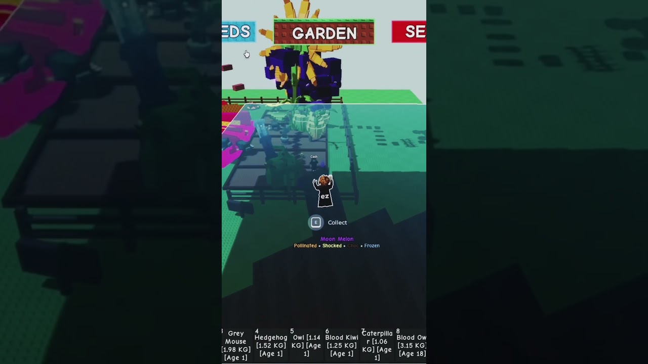 Bro I just wanted seeds😭💀