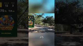 Disc Golf Pro Reveals Hole 12 Strategy: Can He Make It? #shorts