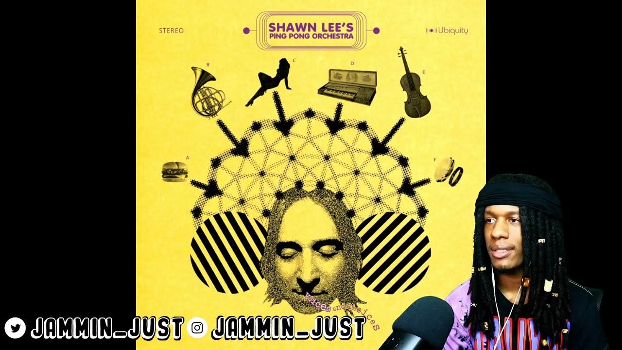 FIRST TIME HEARING Shawn Lee's Ping Pong Orchestra - Kiss The Sky REACTION FIRST TIME HEARING Shawn Lee's Ping Pong Orchestra - Kiss The Sky REACTION
