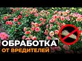 ПОСЛЕ ЭТОГО ВИДЕО ВЫ ИЗБАВИТЕСЬ ОТ ВСЕХ ВРЕДИТЕЛЕЙ НА ОГОРОДЕ НАВСЕГДА!