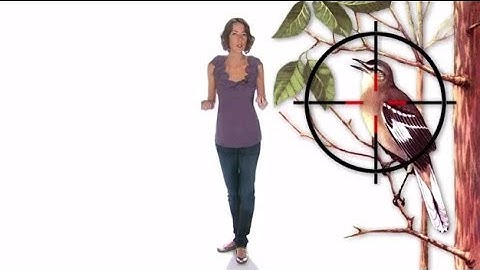 To Kill A Mockingbird | Symbols | 60second Recap®