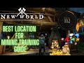 New World: Best Mining Route 50-100 For Money, Gems & Training Guide!