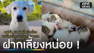 แม่กรี๊ดหนัก ลูกชายทำสาวท้องก่อนแต่ง | ข่าวเที่ยงช่องวัน | สำนักข่าววันนิวส์