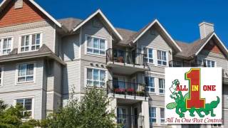 Pest Control | Lincoln, CA – All In One Pest Control