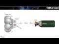 Control of the Rotating Tethered System for Orbital Debris Removal