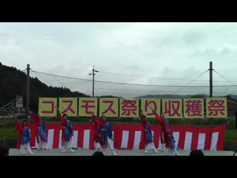 【FGP忍】にじいろ@2016比自岐コスモス祭り