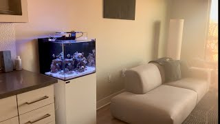 Nano Reef Tank Setup | Waterbox Cube 20