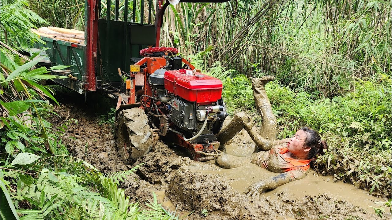Agricultural vehicle carrying banana trees and little girl suddenly falls into mud puddle