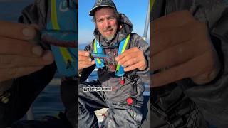 Diesen Trick muss jeder Angler kennen‼️ ANGLER TAGEBUCH Teil 72 #raubfischangeln #fishing #shorts