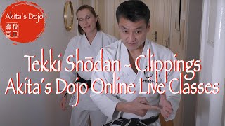 Tekki Shōdan - Clippings from Akita&#39;s online live classes 【Akita&#39;s Karate Video】  HD 1080p